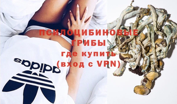 твердый Алексеевка